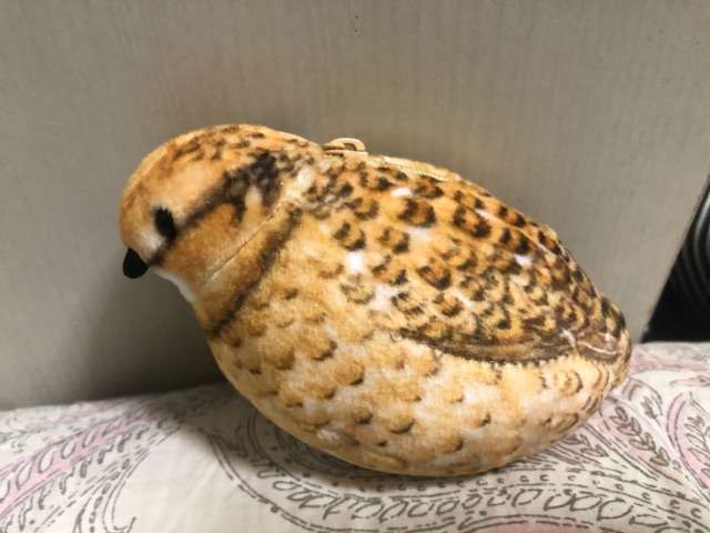 フェリシモについて語りたい