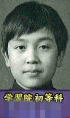 有名人の子供時代の画像が見たい！