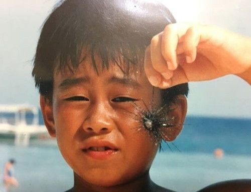 有名人の子供時代の画像が見たい！