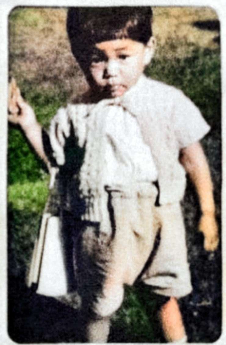 有名人の子供時代の画像が見たい！