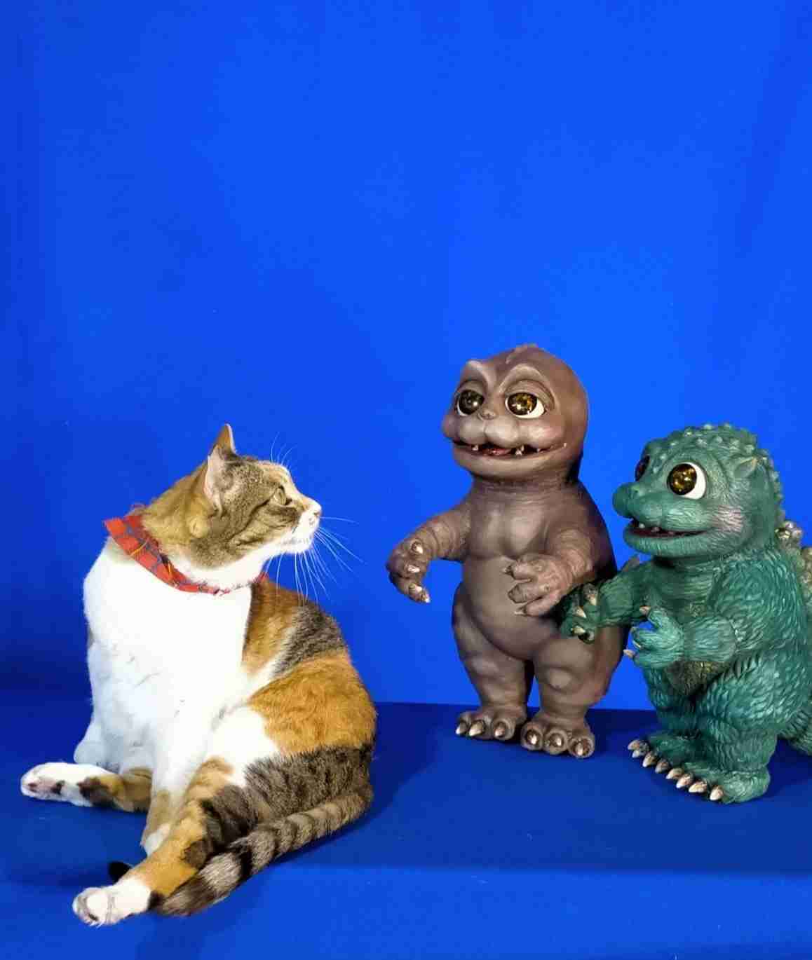 挨拶をする程度の人が気になる