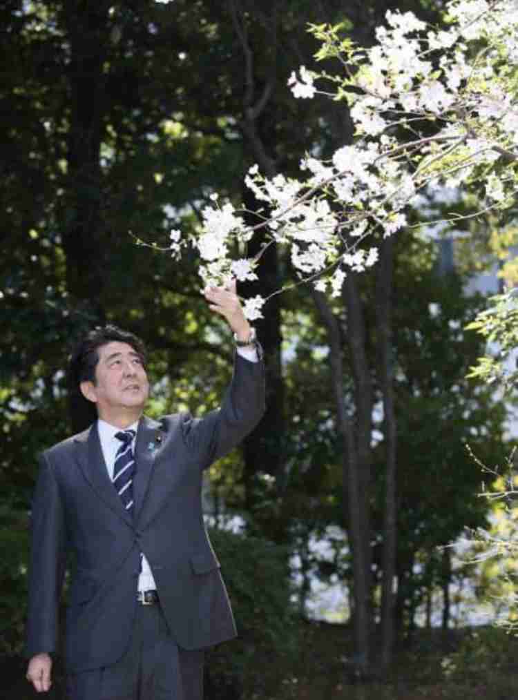 岸田首相、前中国大使の離任面会断る　世論硬化に配慮、異例の対応