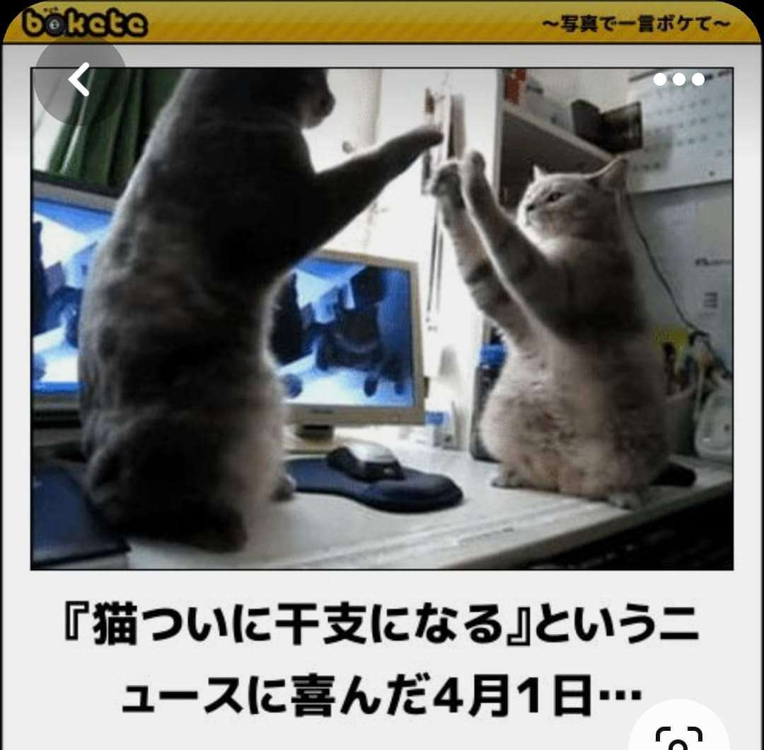 boketeで1000コメ以上を目指そう〜  part7〜