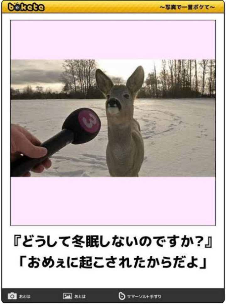 boketeで1000コメ以上を目指そう〜  part7〜