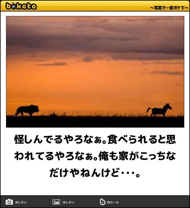 boketeで1000コメ以上を目指そう〜  part7〜