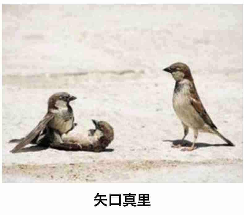 boketeで1000コメ以上を目指そう〜  part7〜
