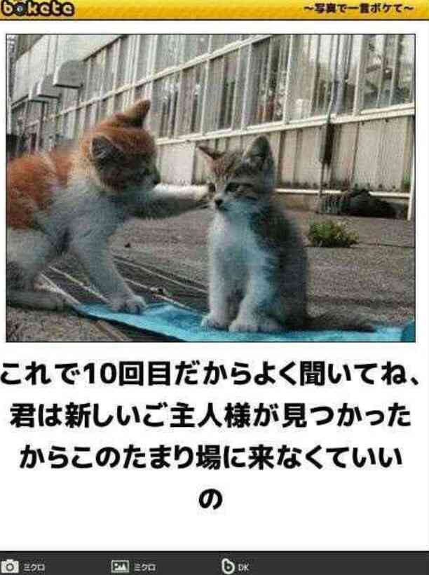boketeで1000コメ以上を目指そう〜  part7〜