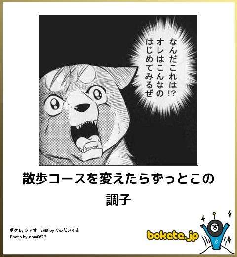 boketeで1000コメ以上を目指そう〜  part7〜