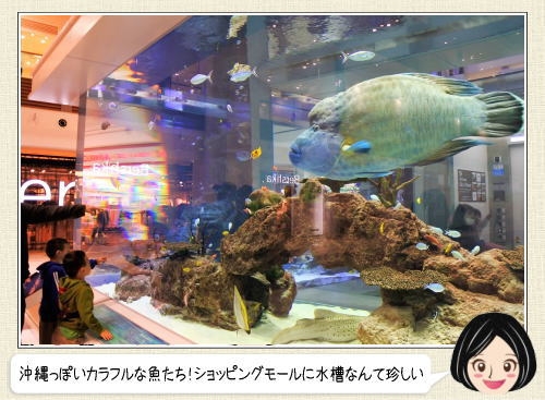 最強のイオンを考えよう