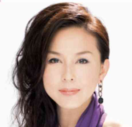 政治家に向いてそうな芸能人