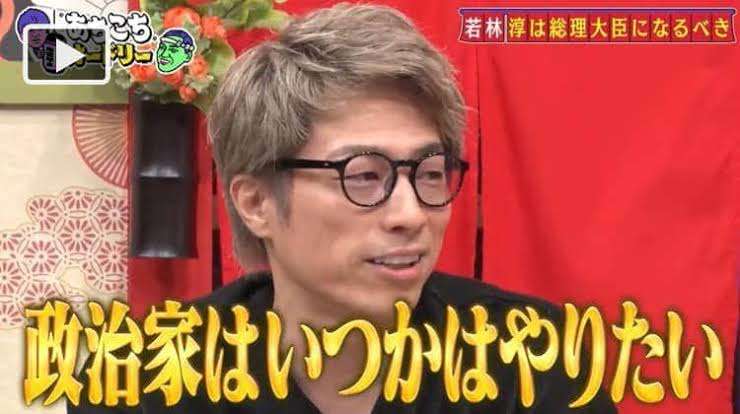 政治家に向いてそうな芸能人