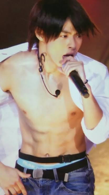 政治家に向いてそうな芸能人