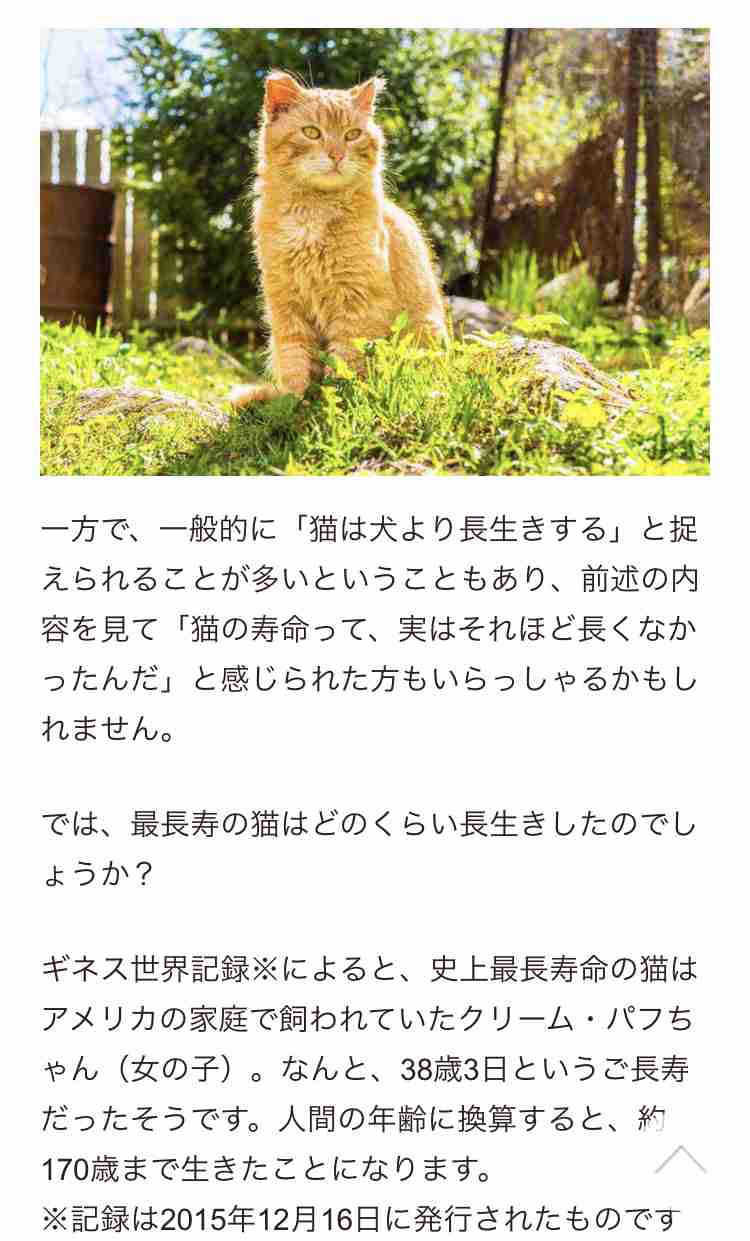 ネコの寿命は30年に延ばせる! 元東大教授が画期的な薬を開発できた「理由」
