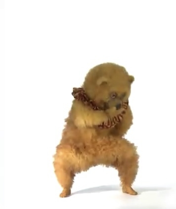 個人的に見るとなぜか元気が出てくる画像を貼るトピ