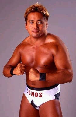 個人的に見るとなぜか元気が出てくる画像を貼るトピ