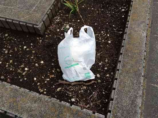 旦那に言っても無駄だと思うこと