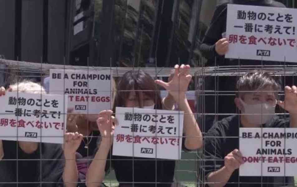 「ダウンを廃止せよ」　H&M渋谷店で動物愛護団体が抗議