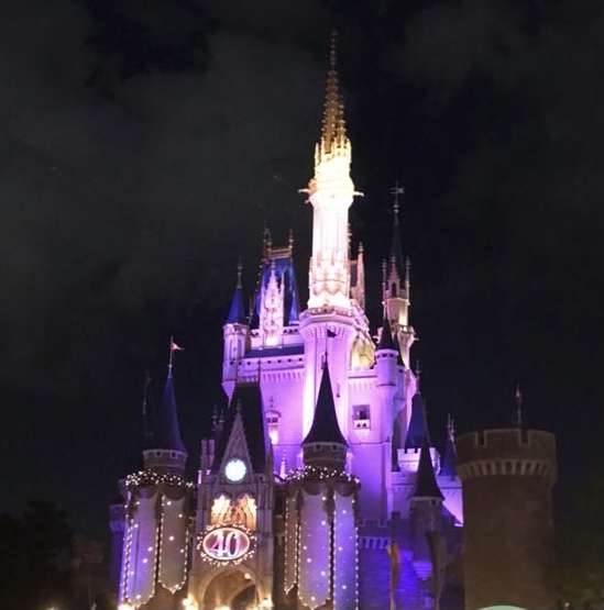 ディズニーリゾート総合