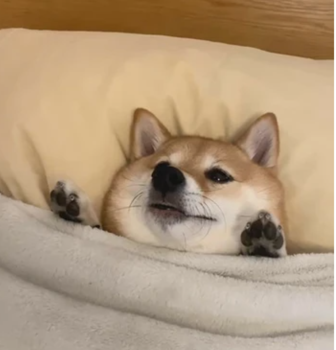 ただ自分の好きな場所を書こう