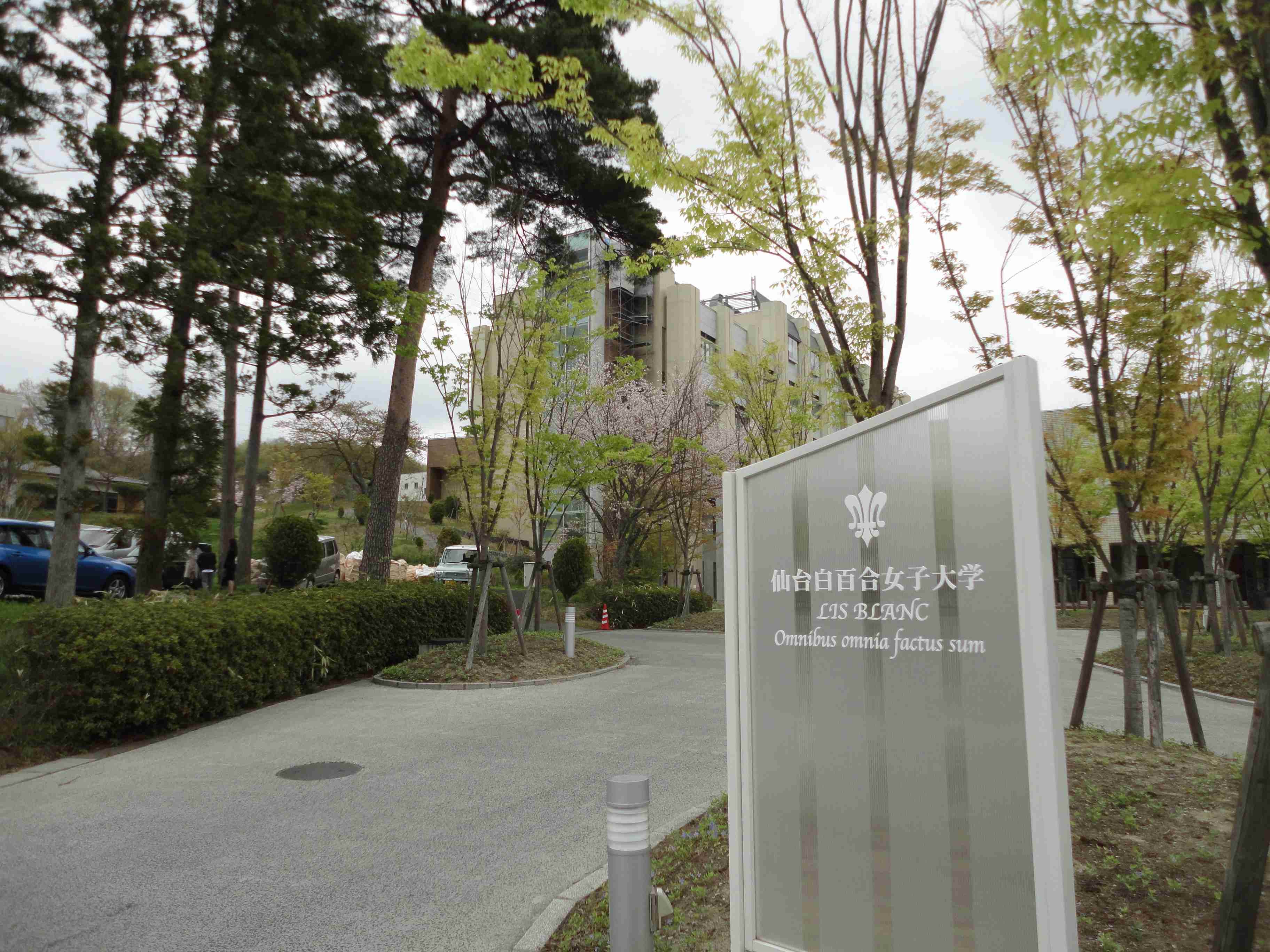 勉強ができない（働きながら）