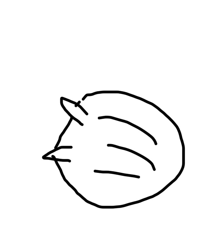 【お絵描き】ジブリのキャラクターを描いてみるトピ