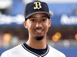 みなさんのお家のペットを有名人に例えると誰に似てる？