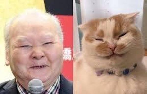 みなさんのお家のペットを有名人に例えると誰に似てる？