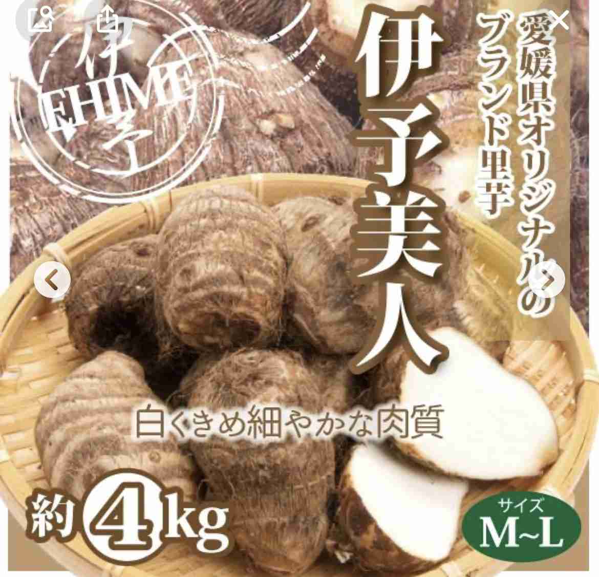 自称グルメがおすすめする感動した食べ物