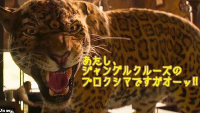 この世で一番かわいいと思うもの