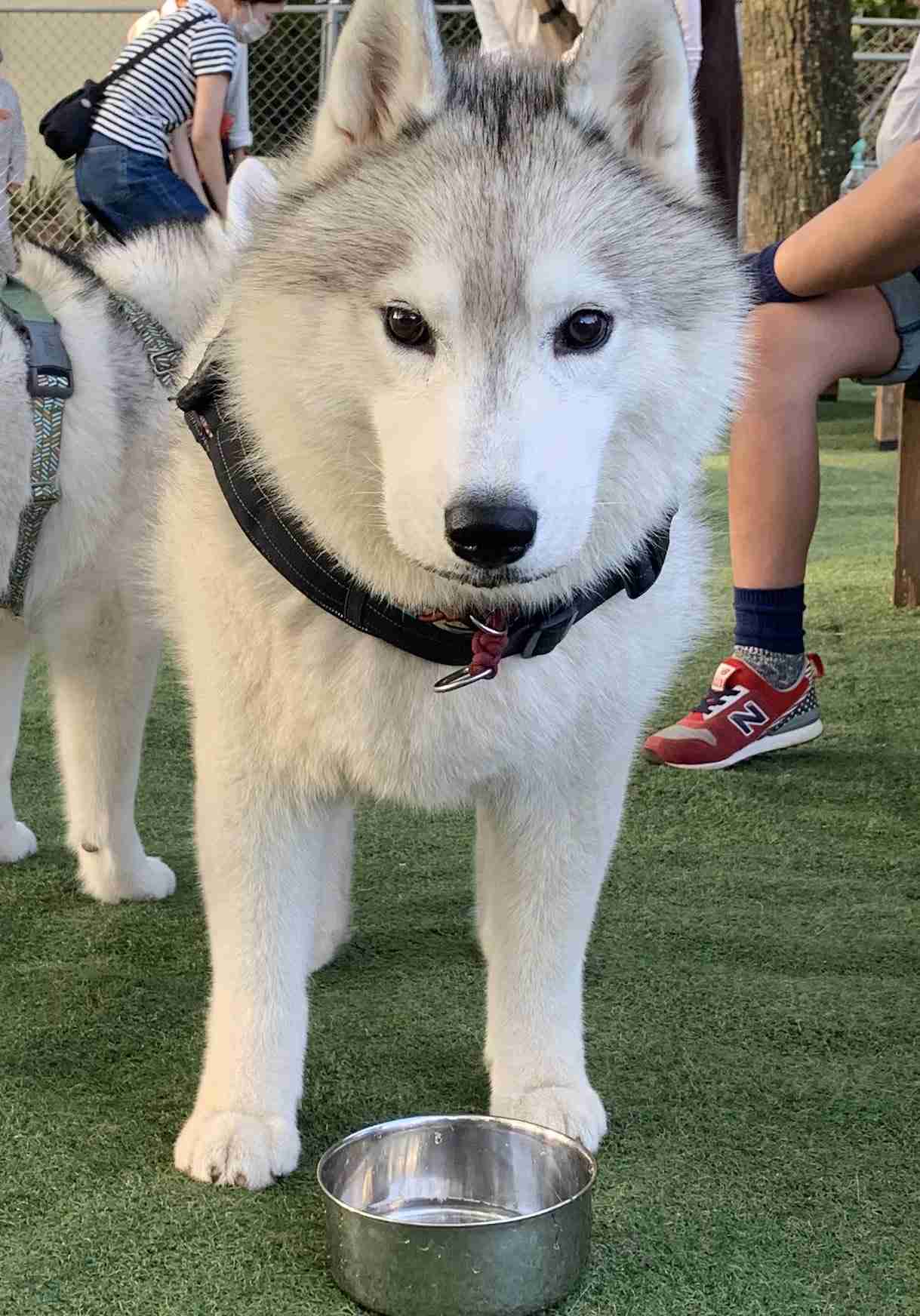 この世で一番かわいいと思うもの