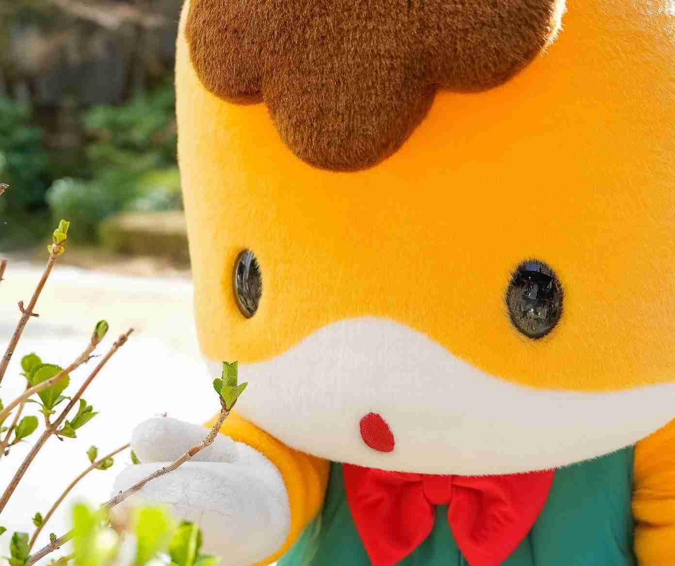 この世で一番かわいいと思うもの