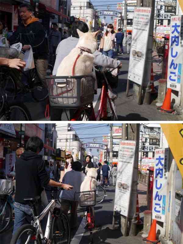 ガルちゃんで画像（サイト）を貼り付ける方法＆練習Part35