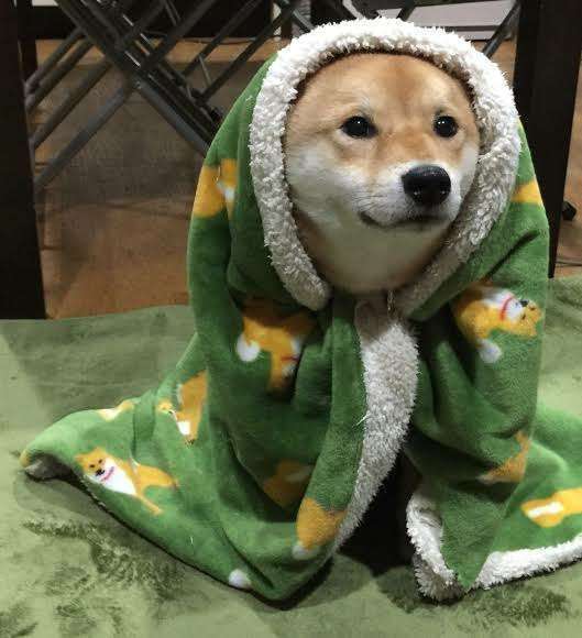 寒がり選手権inガルちゃん　part2