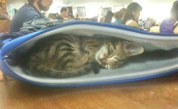 寒がり選手権inガルちゃん　part2