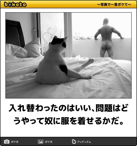全裸で歩く大学生、現行犯逮捕 神戸・西区の歩道