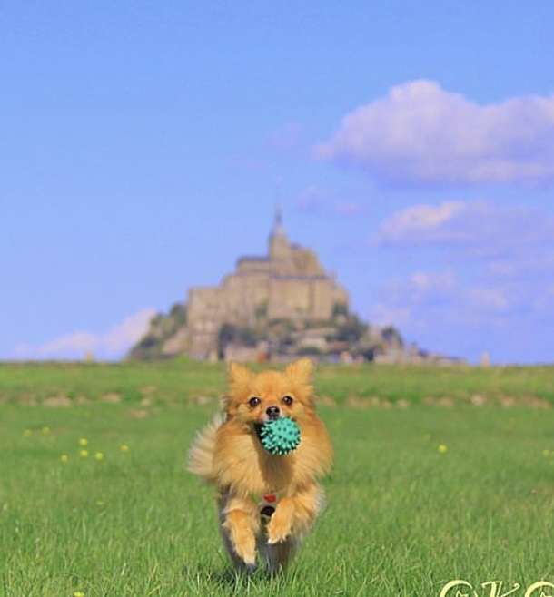 🇫🇷フランス旅行の思い出ありますか？