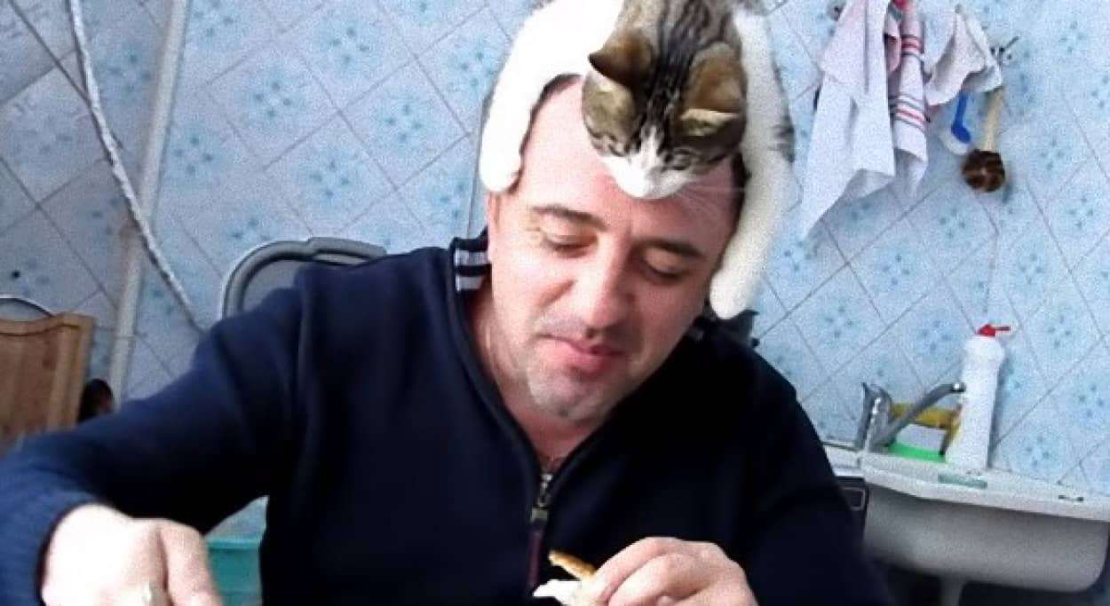 猫にありがちなこと