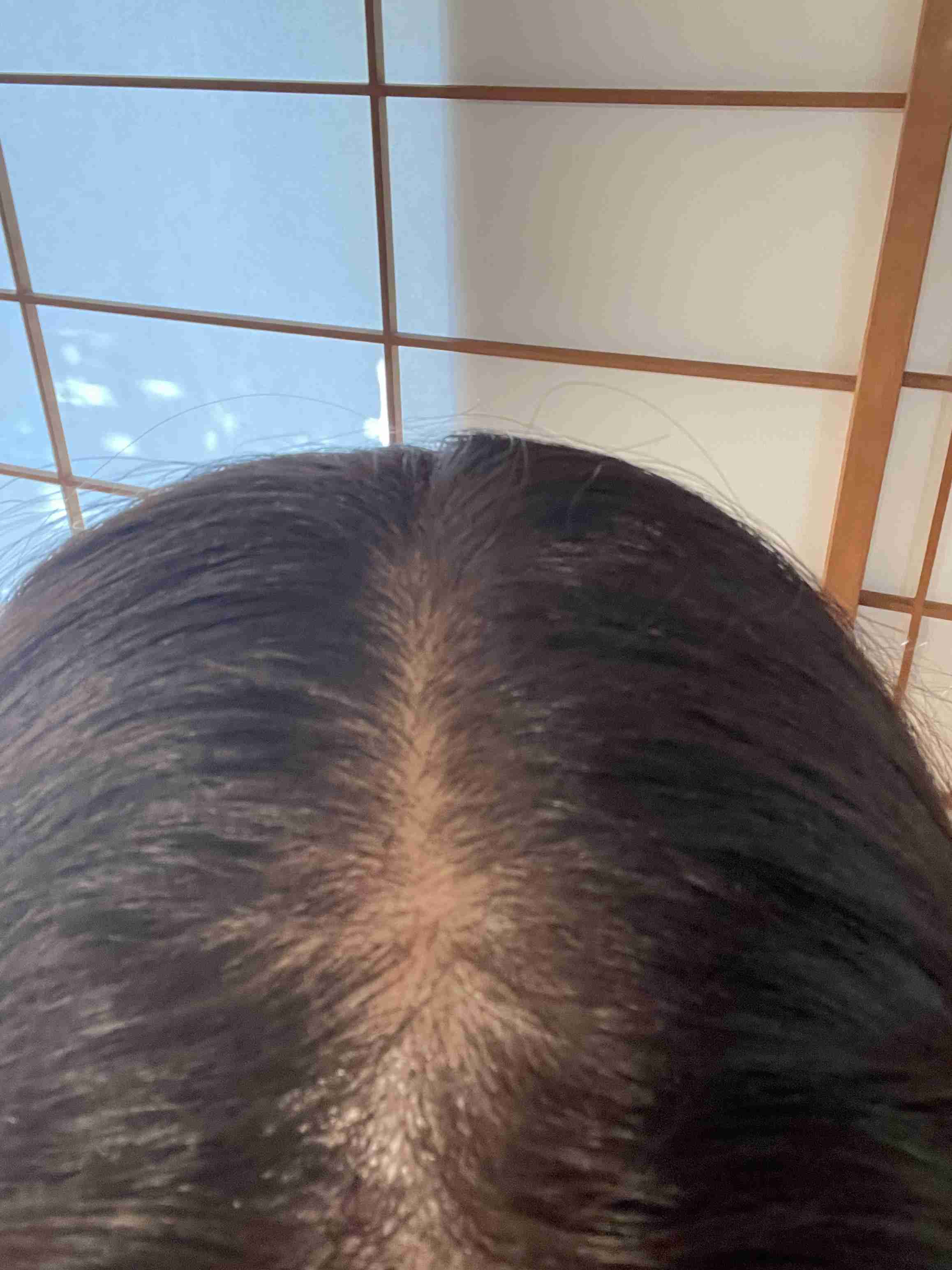 質問したらすごい早さで答えが返ってくるトピ Part4