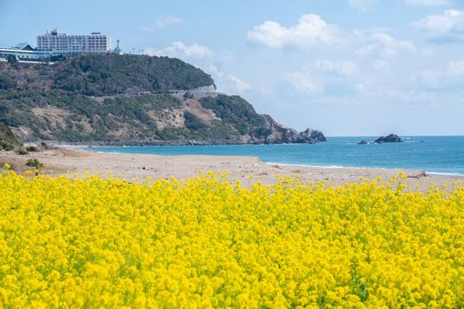 質問したらすごい早さで答えが返ってくるトピ Part4