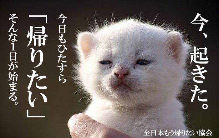 一番ヤル気のないセリフを言った人が優勝