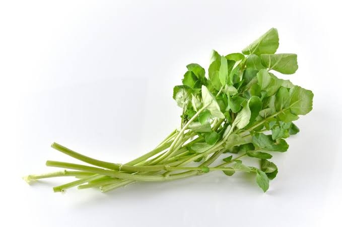 毎日欠かさず食べる野菜は？