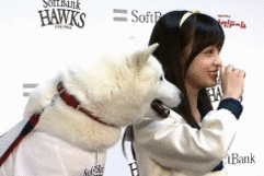 橋本環奈「王様に捧ぐ薬指」初回視聴率7・5%　綾華は東郷から「結婚しよう」と告げられ…