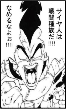 「勝ち負け」にこだわり“暴れる子”が抱える苦悩　普通学級にいる「グレーゾーン」の子どもたち