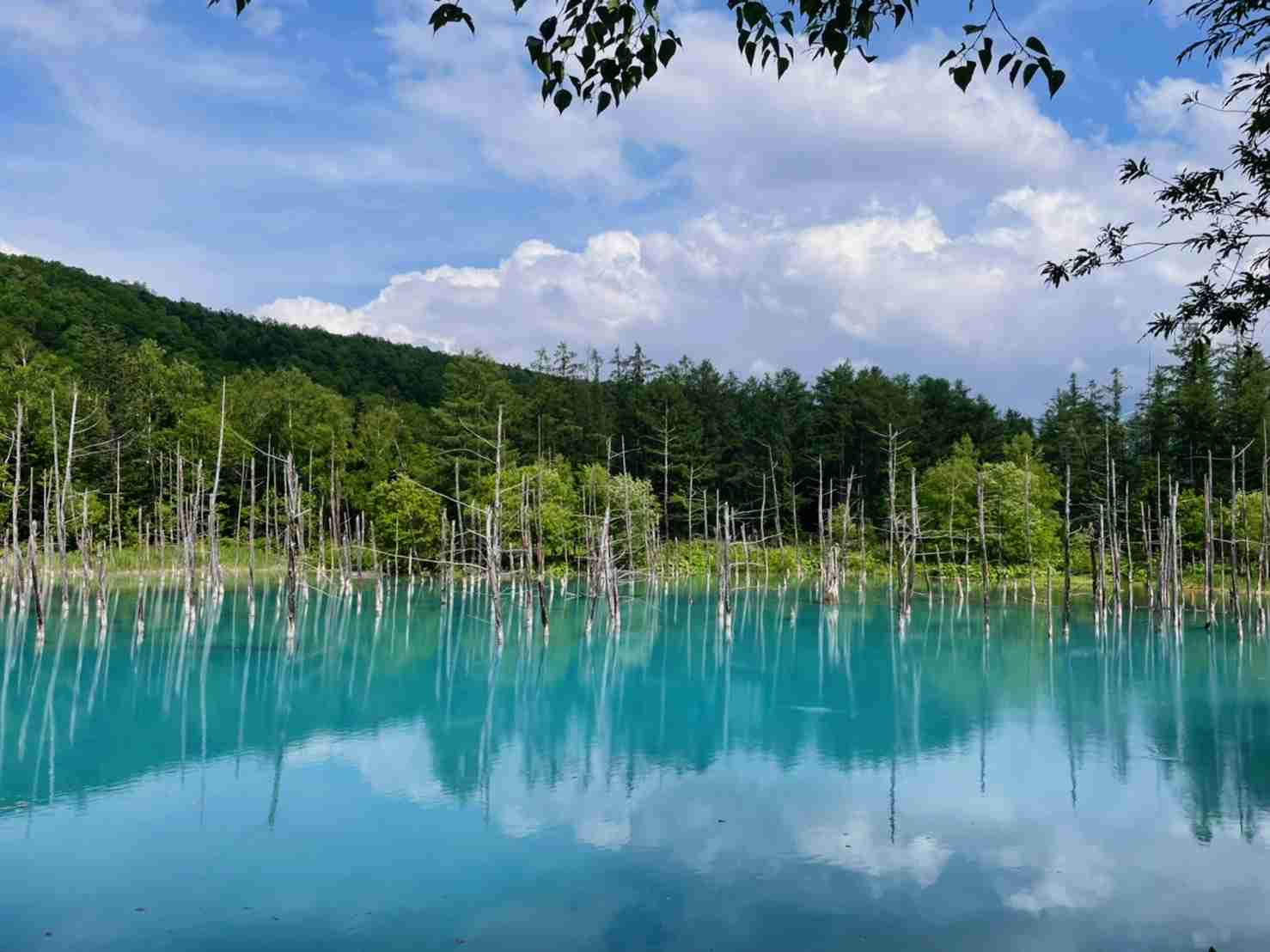 旅先でガッカリした話（人、食べ物、観光等）