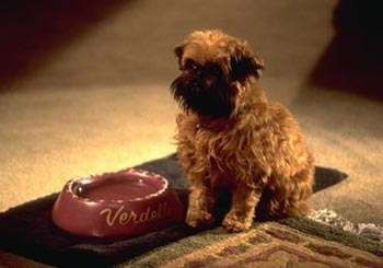 【画像】映画のワンシーンを貼ると観たことある人が作品名を当ててくれるトピ Part10