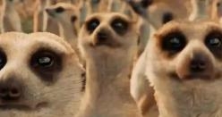 【画像】映画のワンシーンを貼ると観たことある人が作品名を当ててくれるトピ Part10