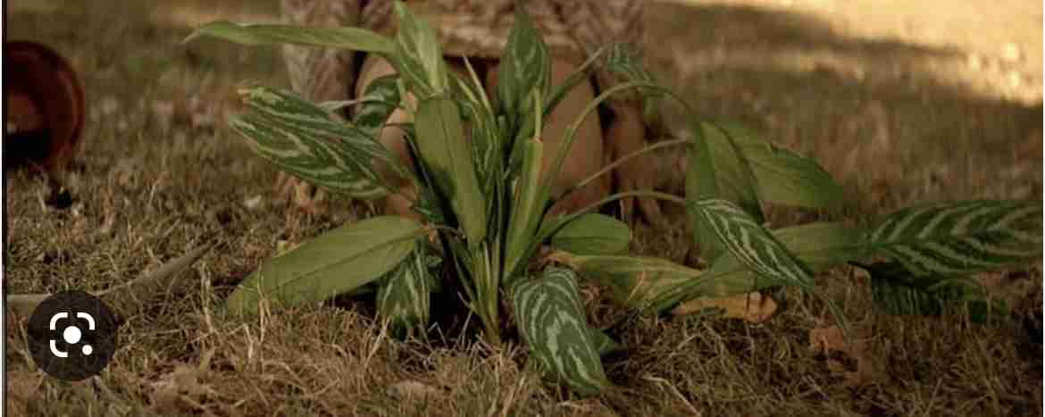 【画像】映画のワンシーンを貼ると観たことある人が作品名を当ててくれるトピ Part10