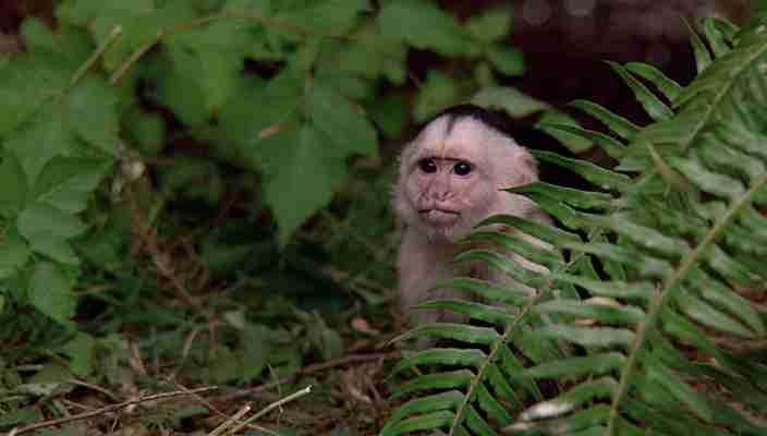 【画像】映画のワンシーンを貼ると観たことある人が作品名を当ててくれるトピ Part10