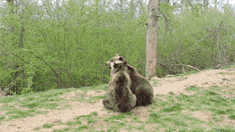 3人で仲良しのはずが仲間外れにされていた