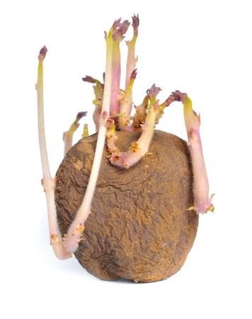 気づいたらもう遅かった❗ということ